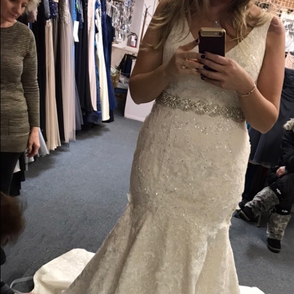 Ivory Lace Trumpet Gown with sewn in sequin belt - Picture 7 of 7